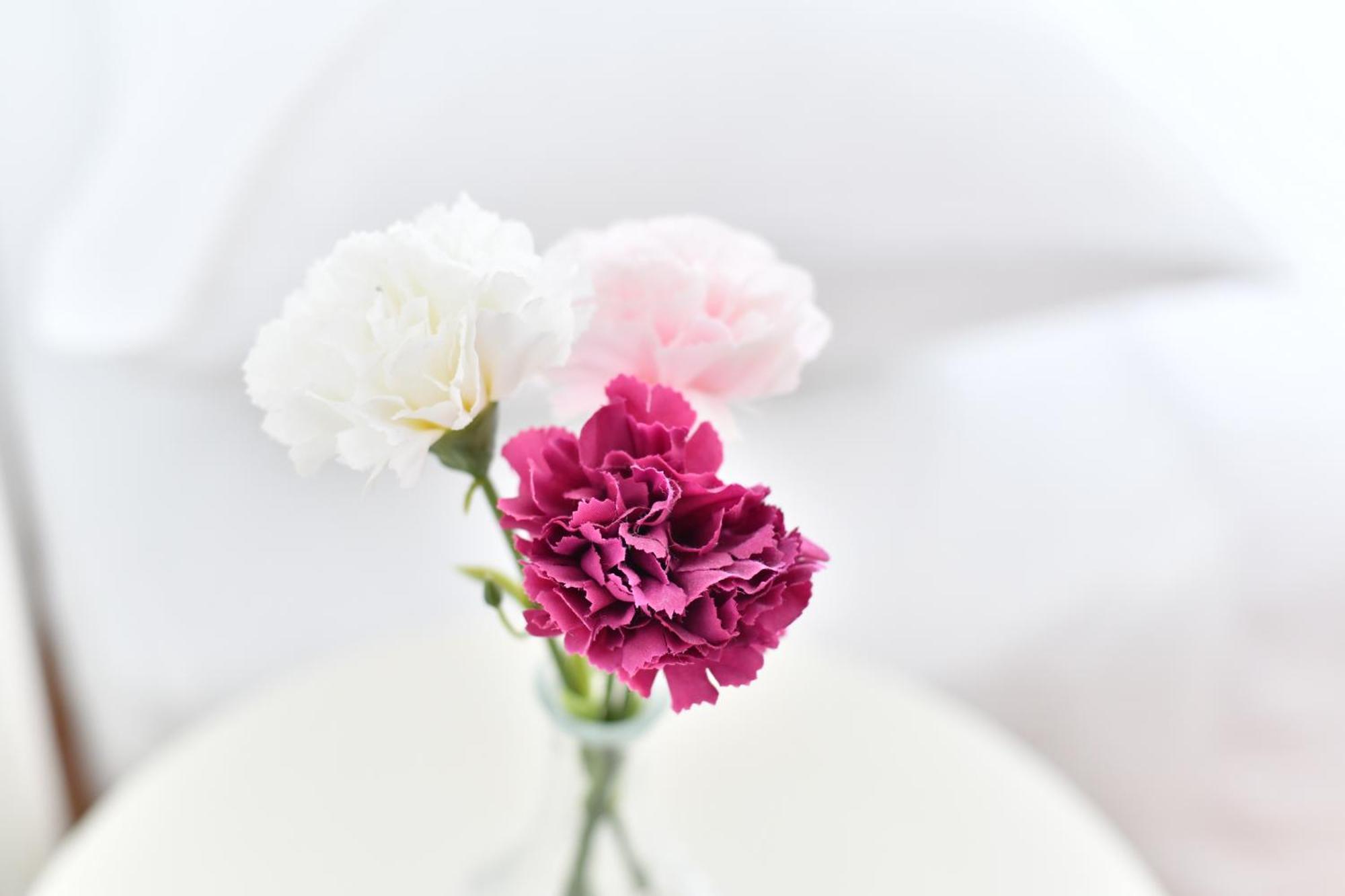 Appartamento Cozy 16A Zara Esterno foto